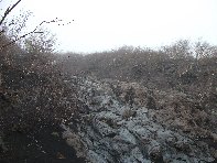 rra delle Concazze-20100425 022